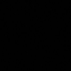 Meet your Posher, Ava